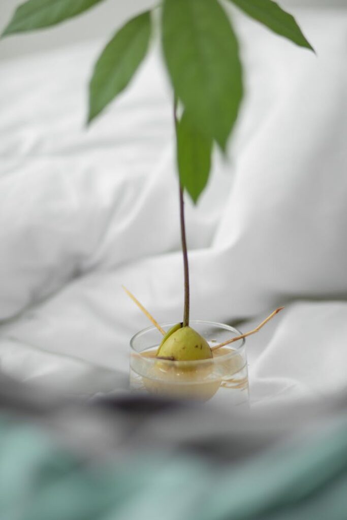 pexels photo 6864824.jpeg